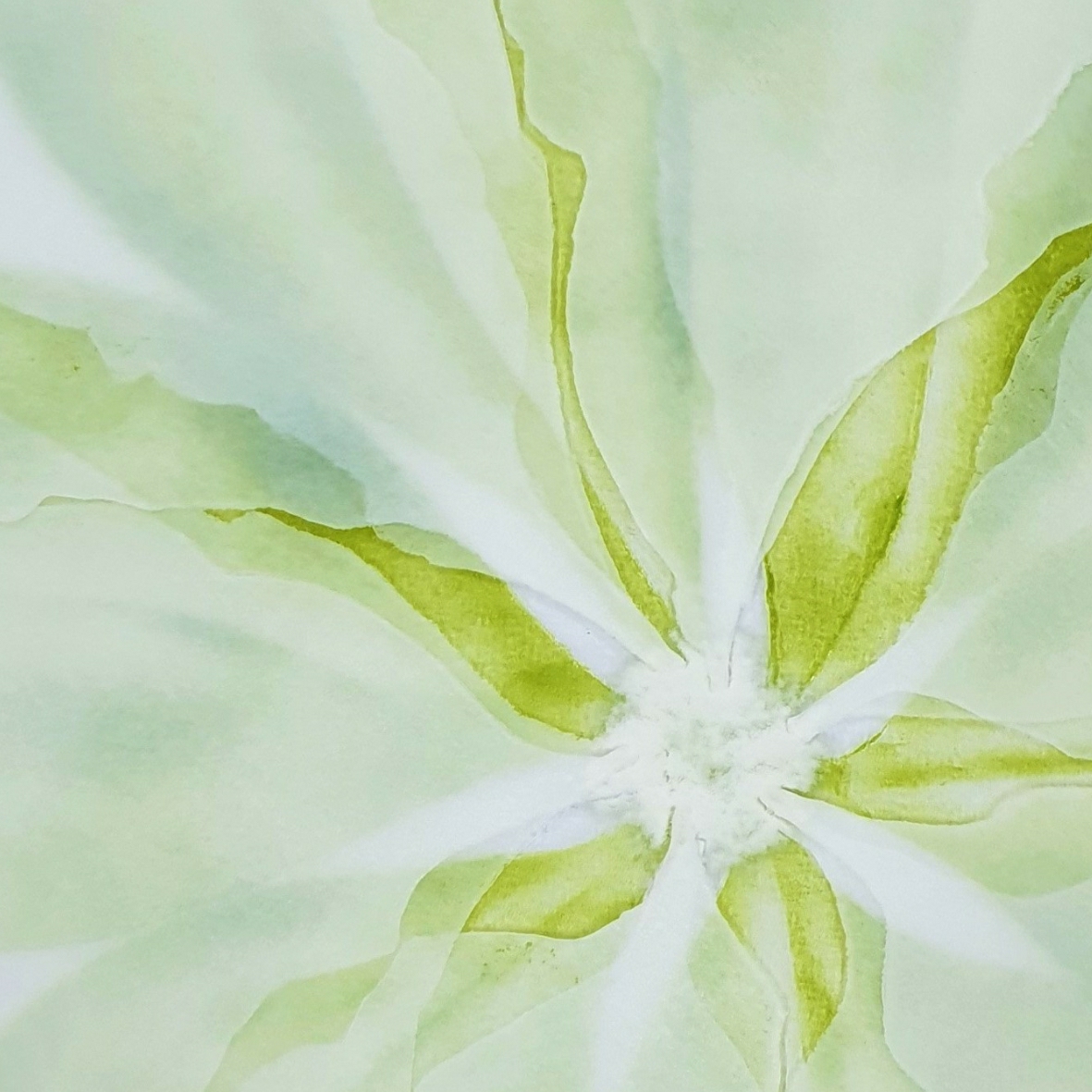 Textured roundel Exochorda green leaves and white petals wall art